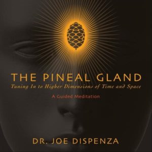 Pineal Gland Meditation | Cover | Premier Forex League